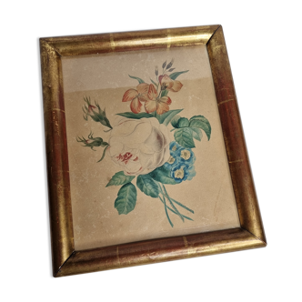 Original framed drawing from the beginning of the 19th century inspired by the work of Pierre-Joseph Redouté