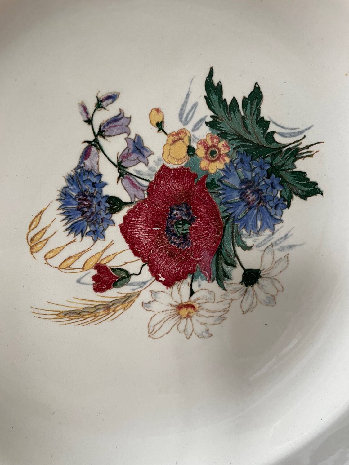 Series of 9 Sarreguemines France soup plates, Agreste collection