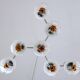 Lustre à trois bras en verre soufflé et métal produit par Mazzega,