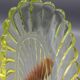Ancien ravier porte peigne en cristal signe baccarat modele bambou tors jaune