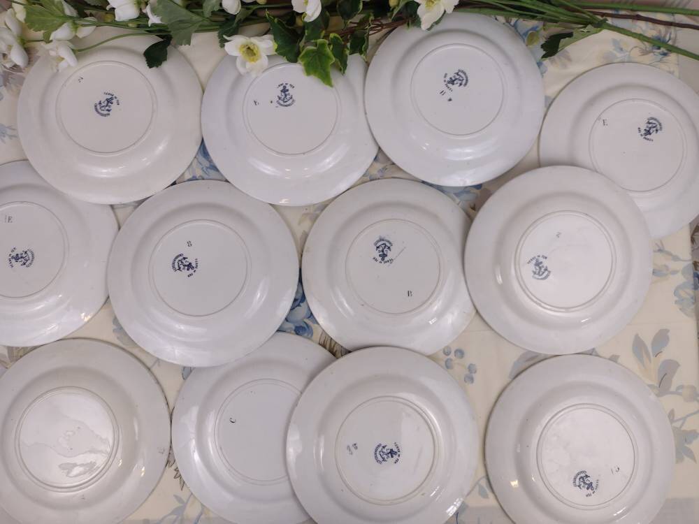 Set of 11 goldfinnets clairefontaine dessert plates