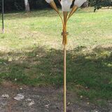 Vintage floor lamp in gilded brass with 5 glass tulips from the 50s