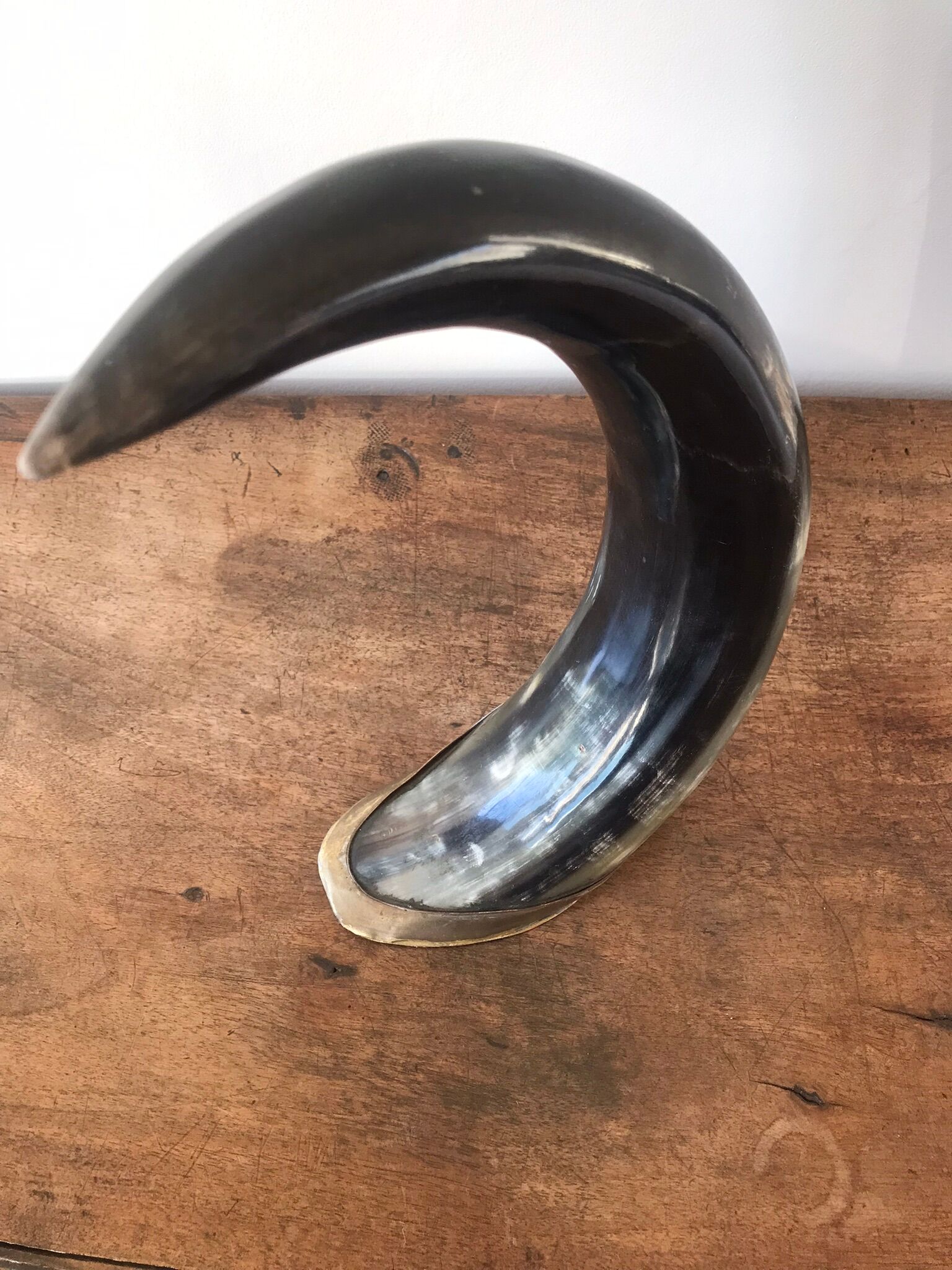 Polished beef horn on brass base
