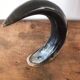 Polished beef horn on brass base