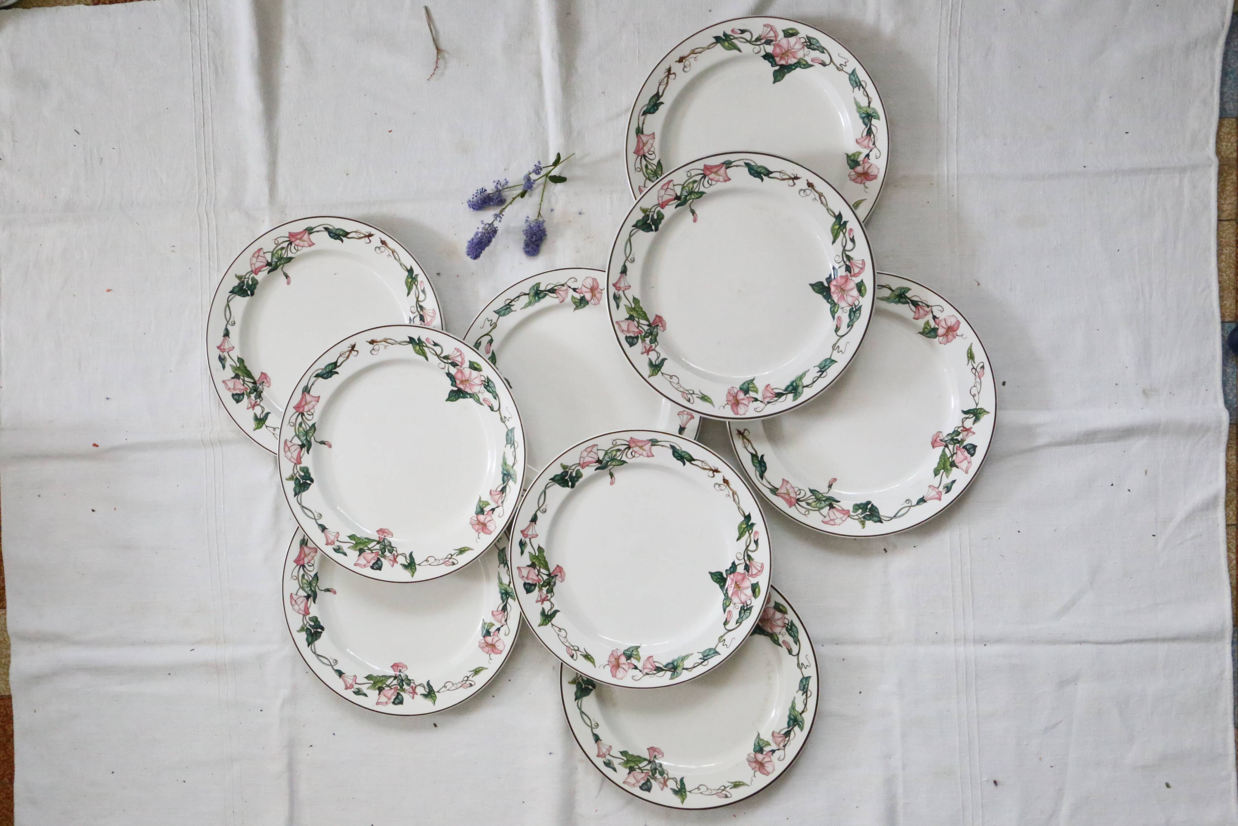 Flat plates 9 earthenware, model Palermo de Villeroy and Boch