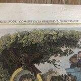 Old map of the Cévennes and GOLD Côtes d'Or