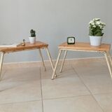 Pair of benches 50s