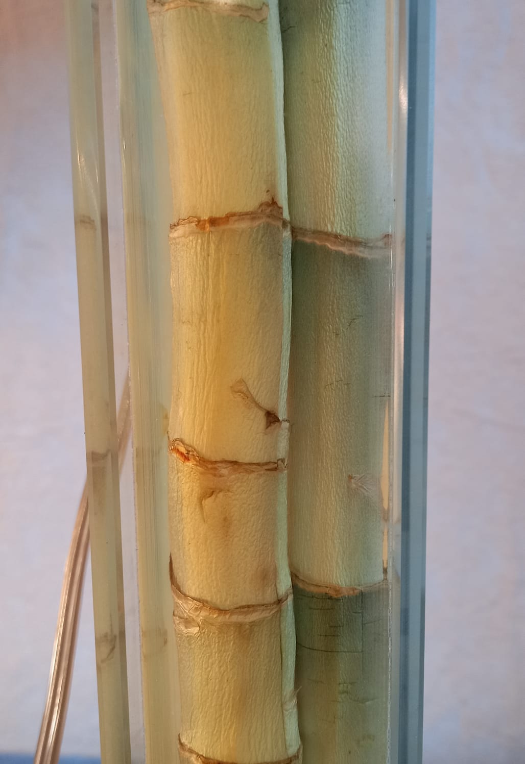 Bamboo lamp/design 20th century