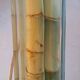 Bamboo lamp/design 20th century