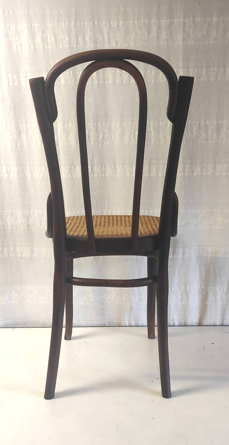 Bistro chair in curved wood and canework - early 20th century