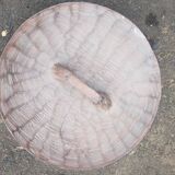 Bouclier africain traditionnel Bamiléké du Cameroun