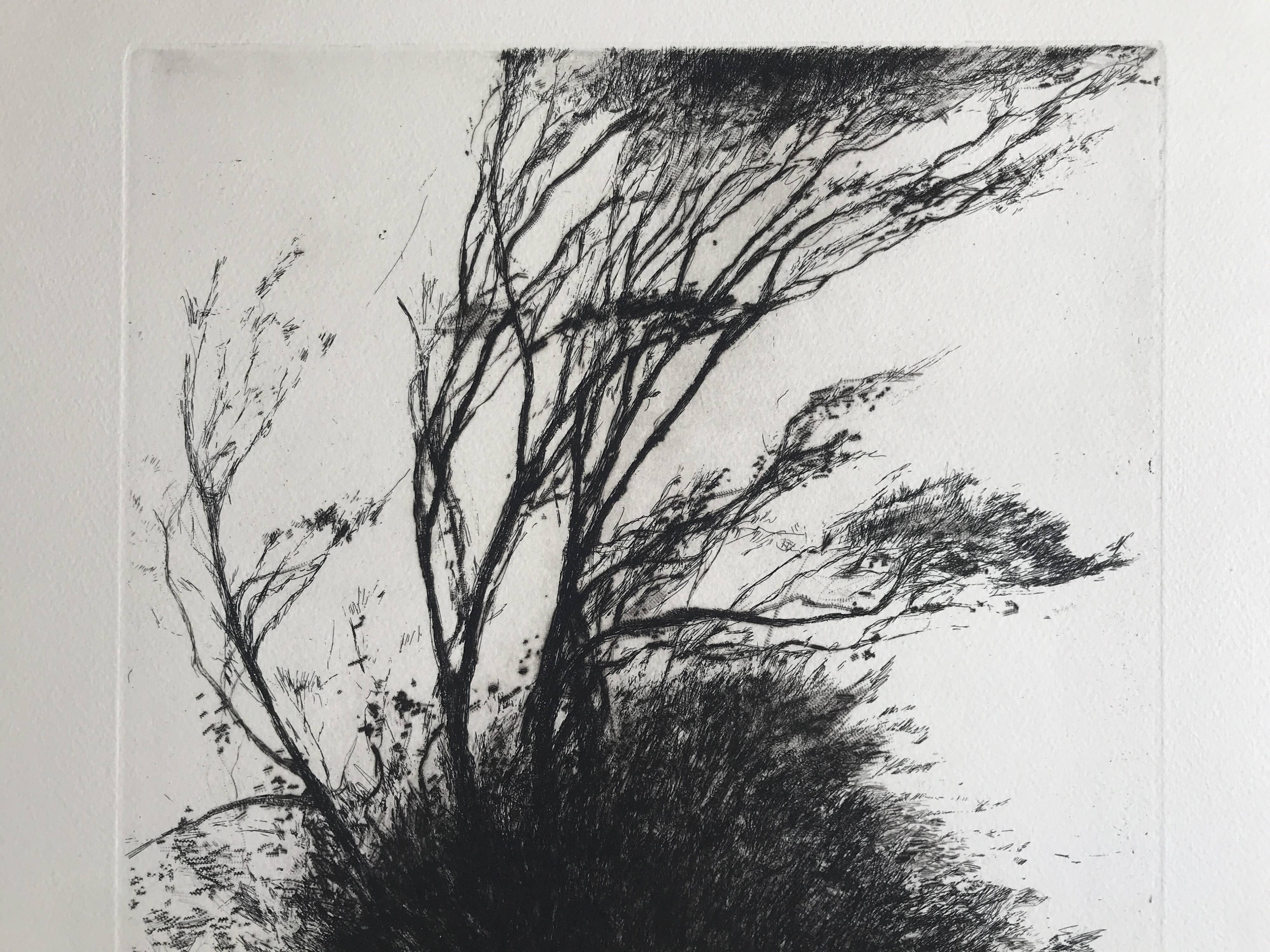 Nicole BOUHARMONT, Tempête, 2013. Original signed drypoint