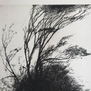 Nicole Bouharmont, tempête, 2013, pointe sèche originale signée