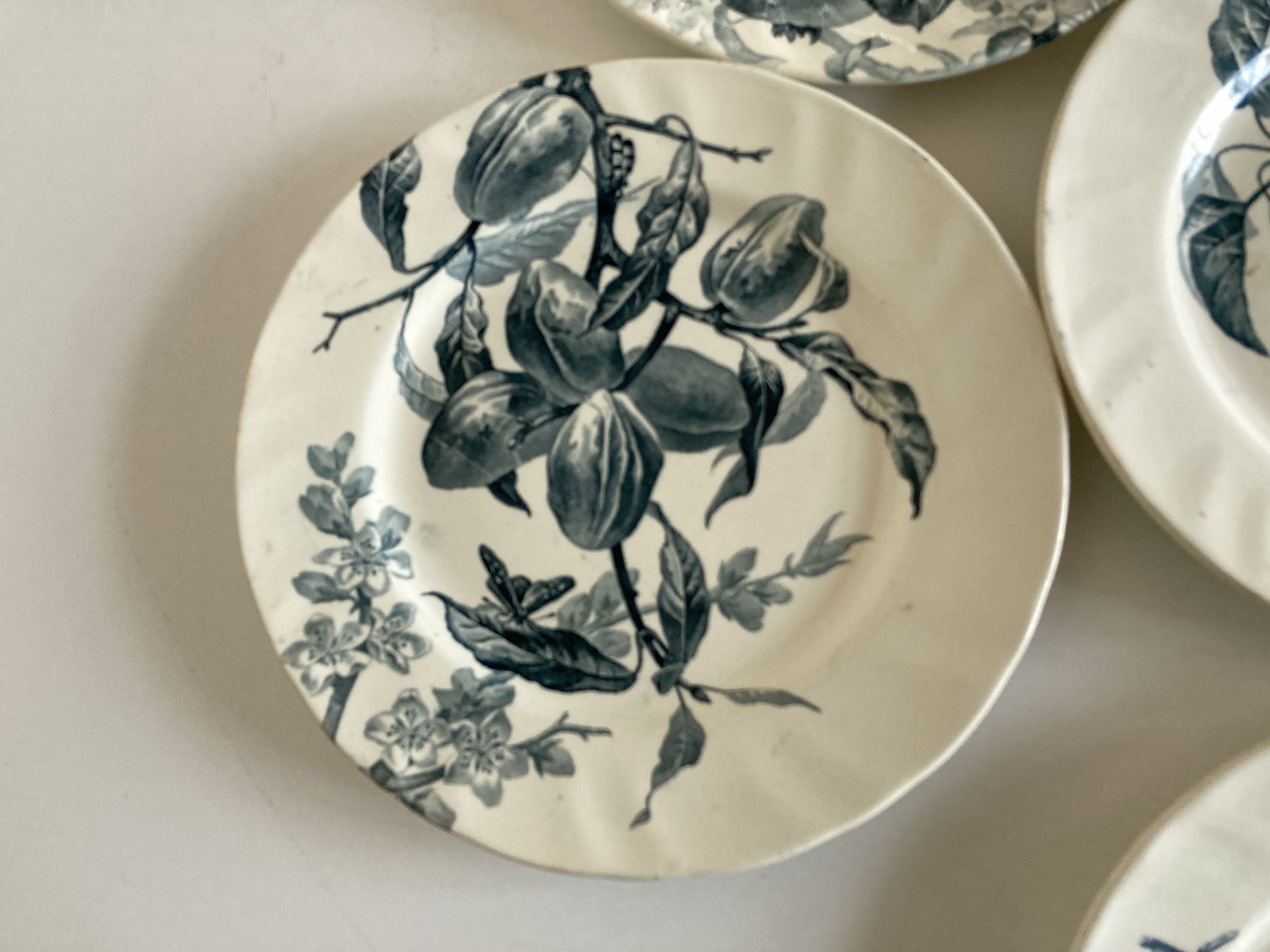Set of 6 plates Creil Montereau Pomona iron earth early 20th
