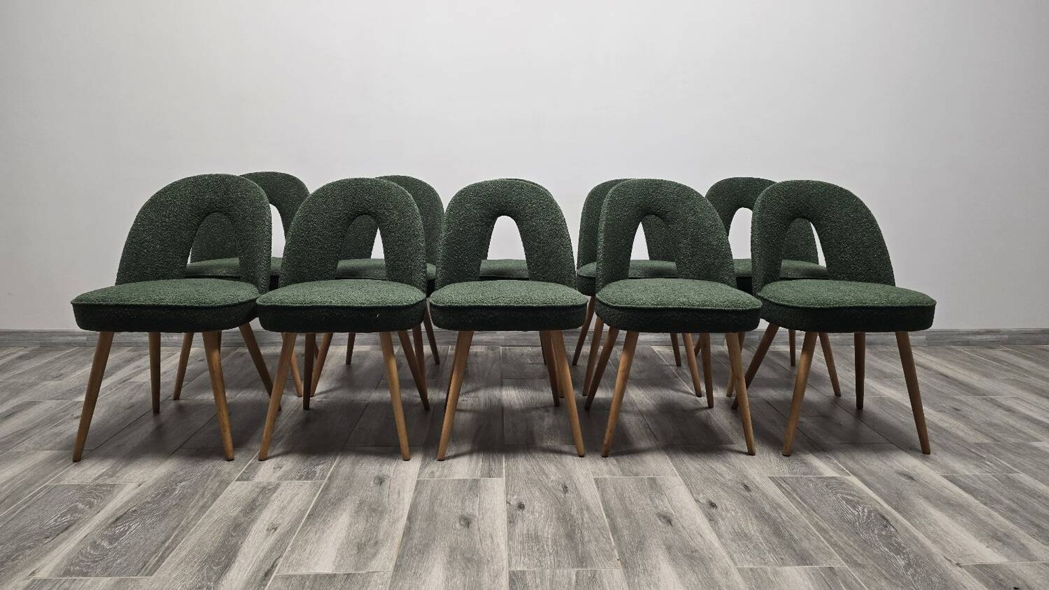 Dining Chairs by Antonin Suman, 1960s, Set of 10