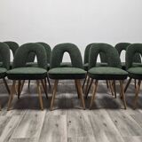 Dining Chairs by Antonin Suman, 1960s, Set of 10