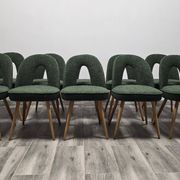 Dining Chairs by Antonin Suman, 1960s, Set of 10