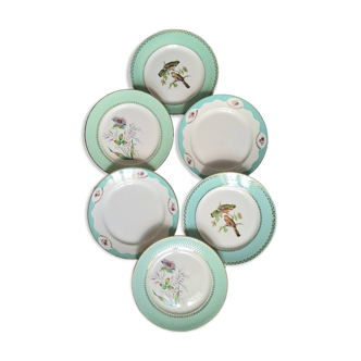 Old mismatched earthenware dinner plates