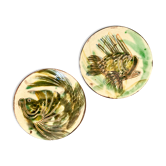 Decorative plates signed fish décor