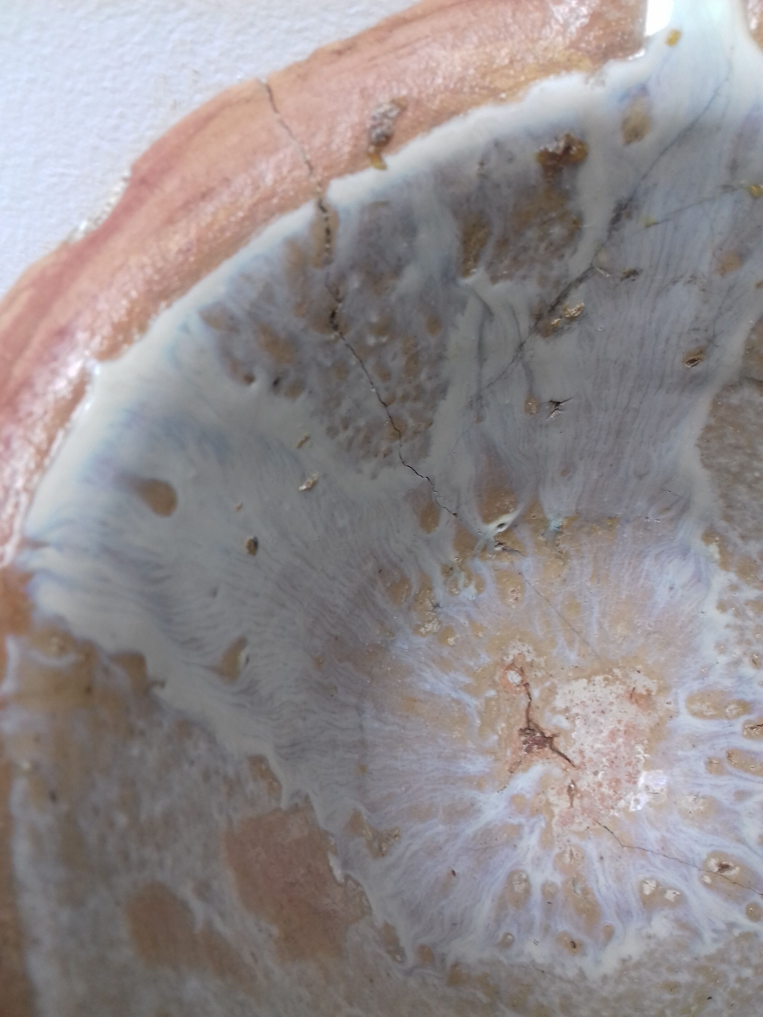 Landes resinsive pot