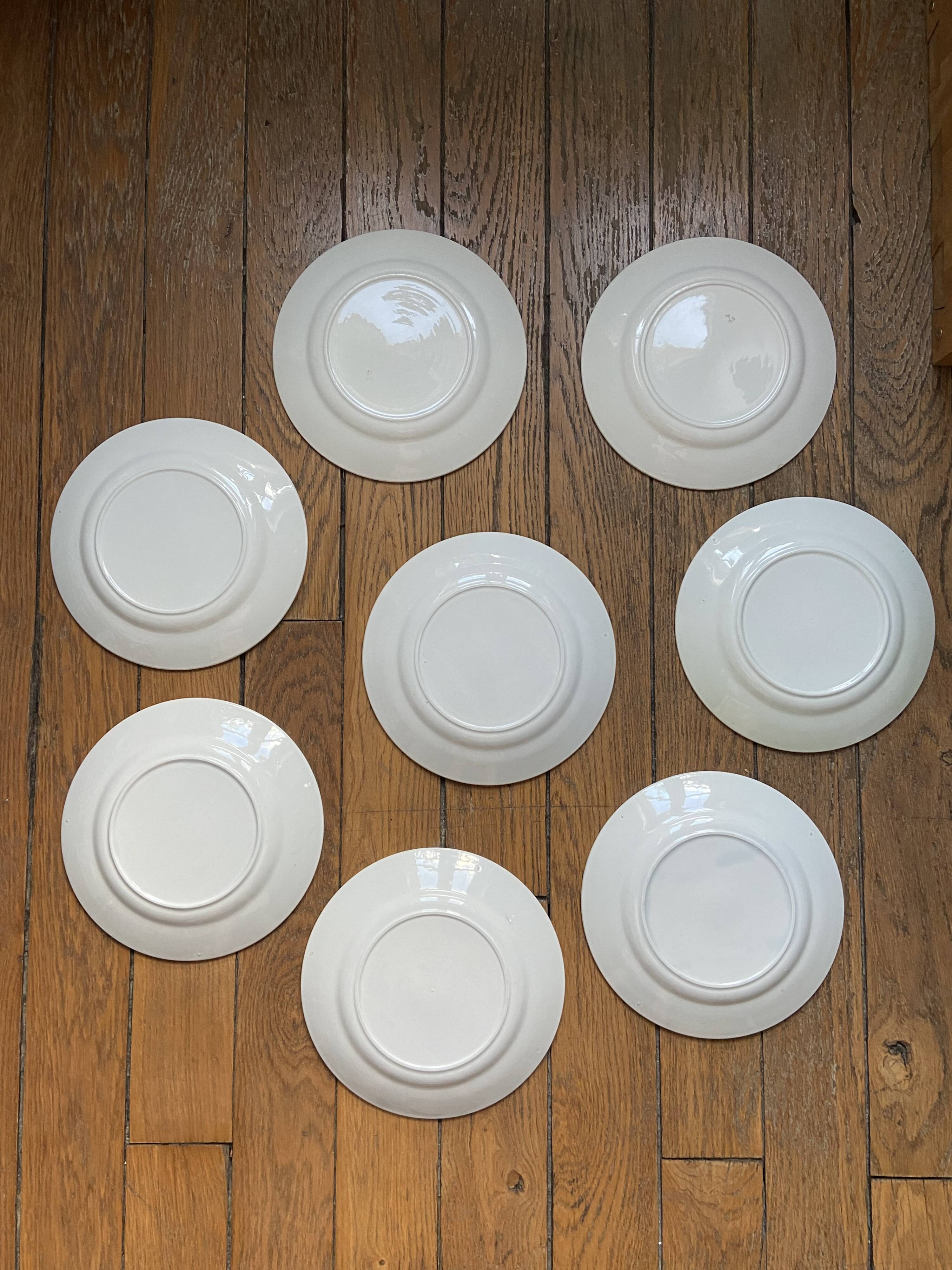 Set of 8 flat plates from the 50s-60s, turquoise rim and bird pattern.