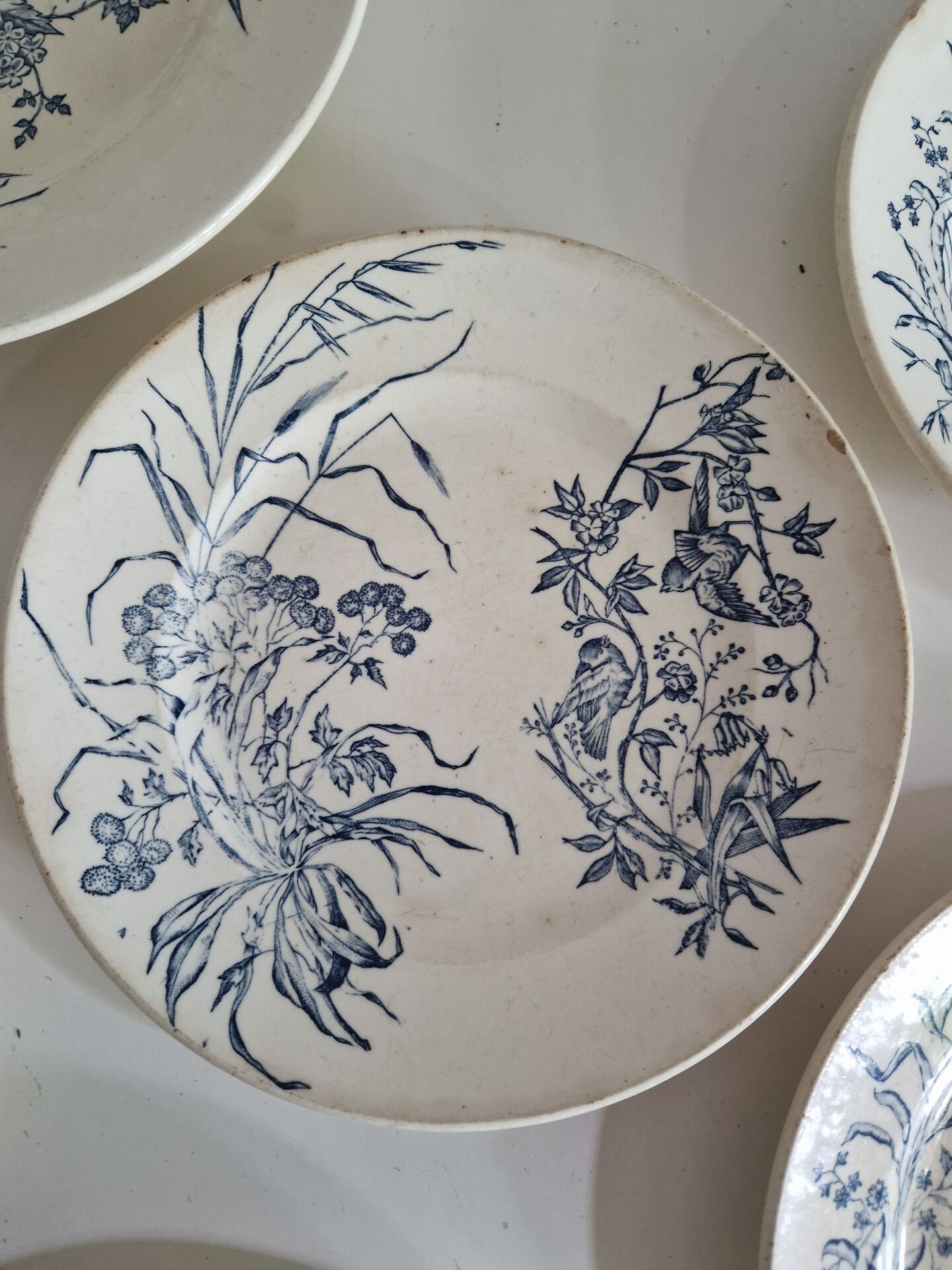 Set of 6 flat plates plus one earthenware dish.