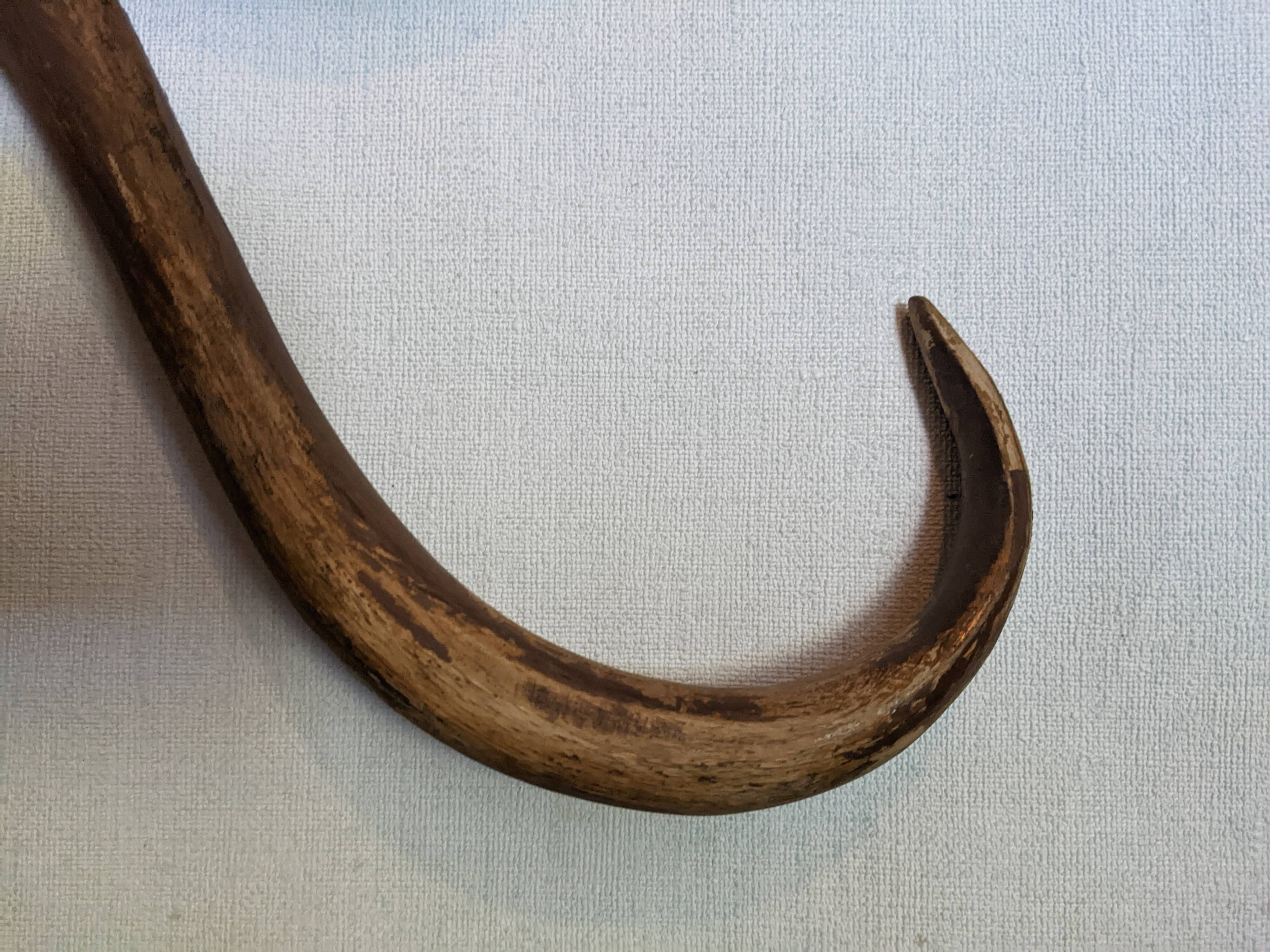 Set of curved wooden coat hooks in Thonet style.