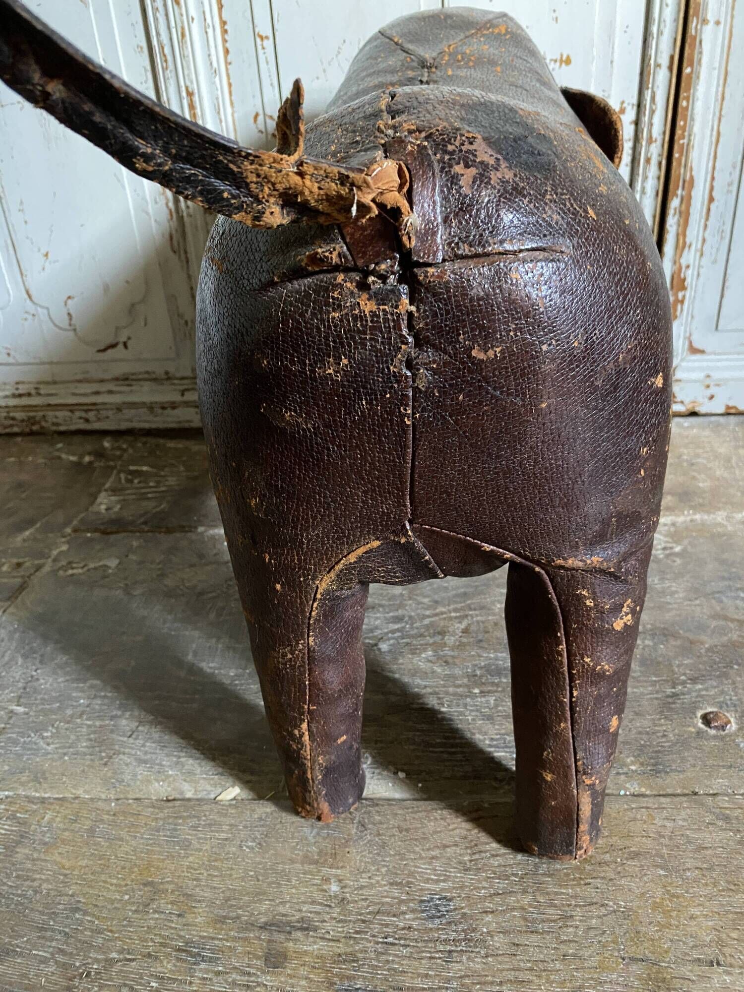 Elephant Dimitri Omersa