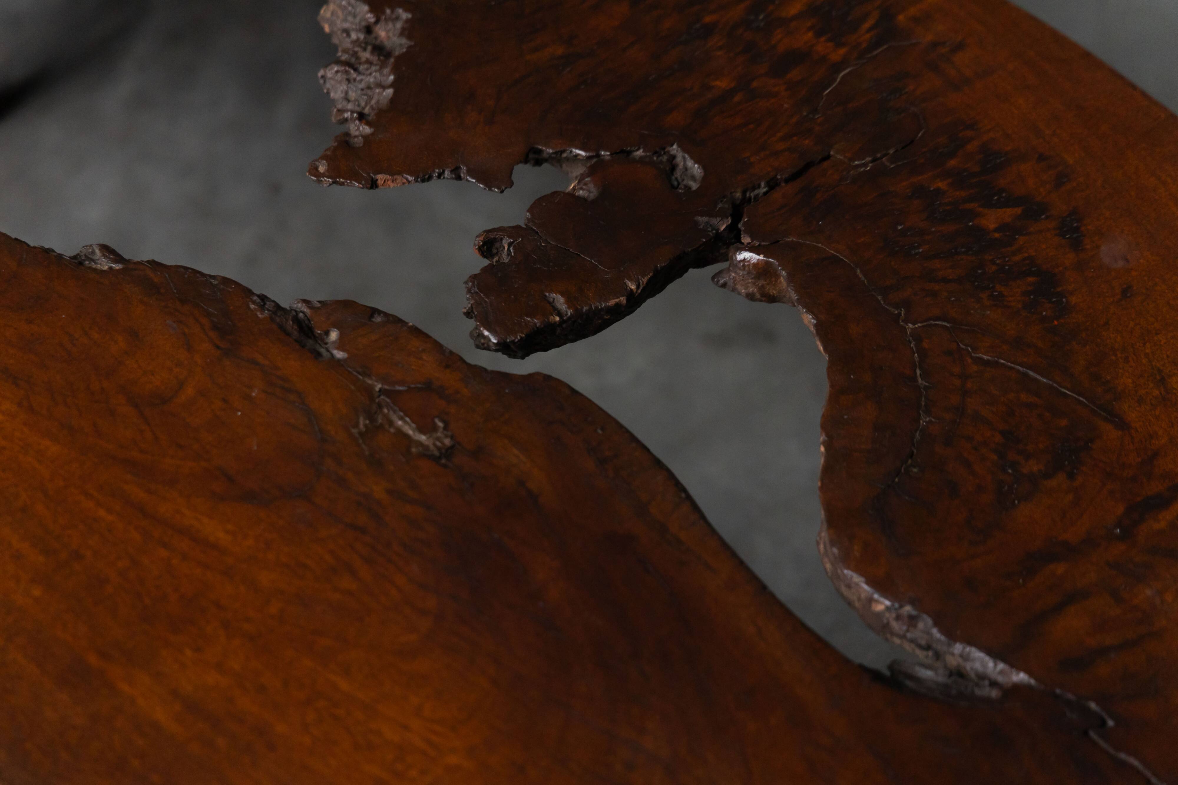 Table basse moderne organique avec vide naturel, France, milieu du 20e siècle