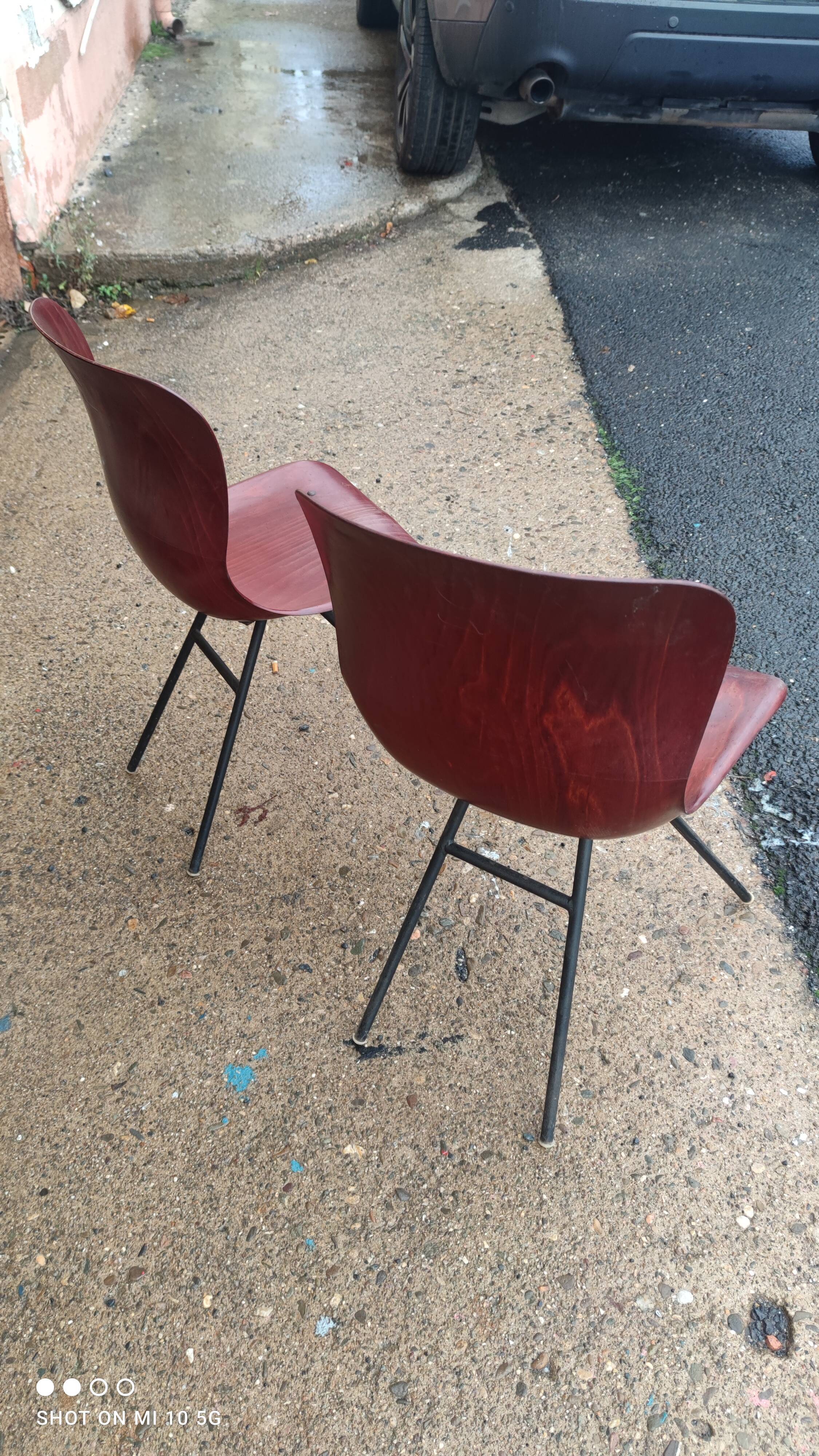 Pair of Pagholz chairs, Model 15074, by Elmar Flottoto in 1956