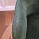 Fauteuil design italien torre 1961 – modèle da vinci 02 – velours vert