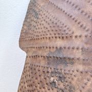 "Glagwa" shield embossed metal Cameroon 20th century