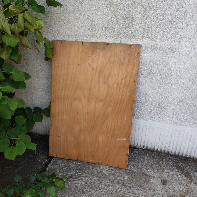 Old beveled mirror, trumeau