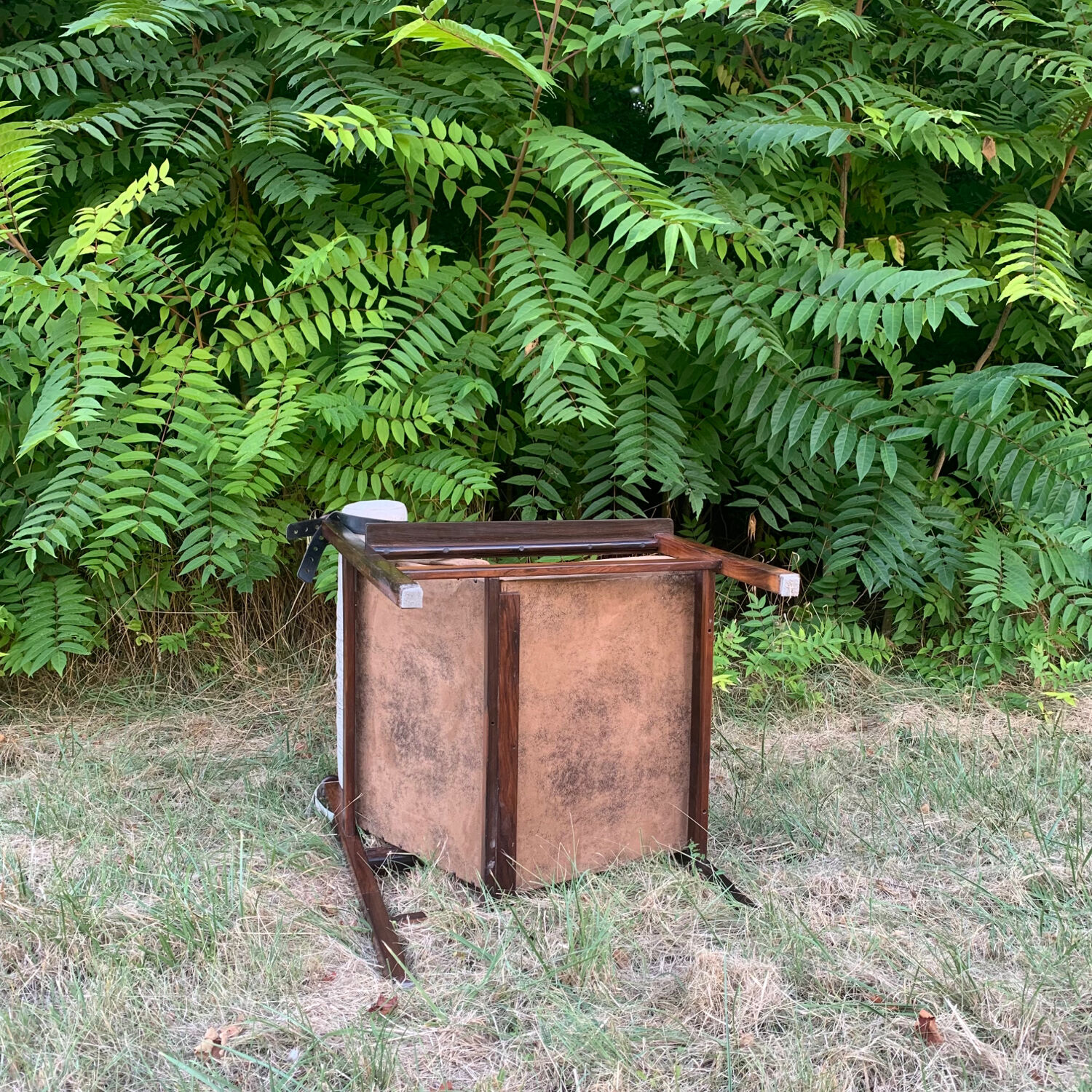 Brazilian rosewood armchair from the 60s, Tônico