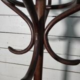 Perroquet ancien en bois courbé