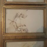 Series of 4 herbariums at the beginning of the century