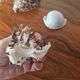 Ancient shell collection