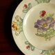 Longwy assiette de collection peinte à la main