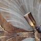 Art Deco/Art Nouveau shell and bronze wall lamp