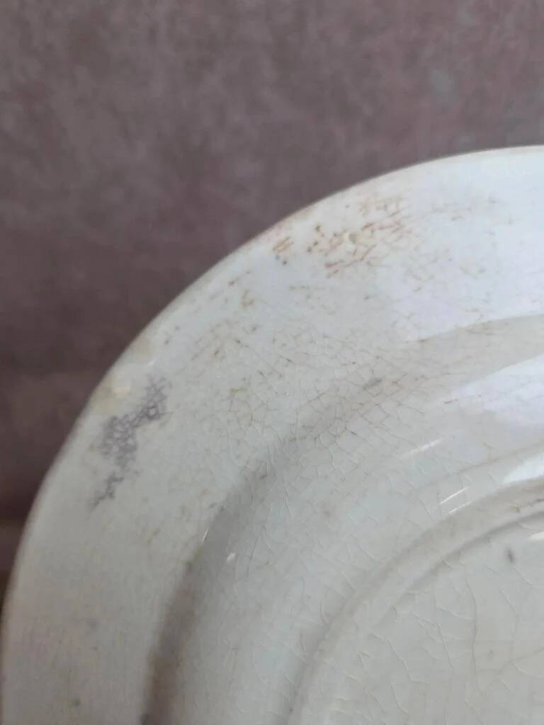 Antique plate Terre de Fer Clairefontaine Marine model