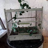 Bird cage