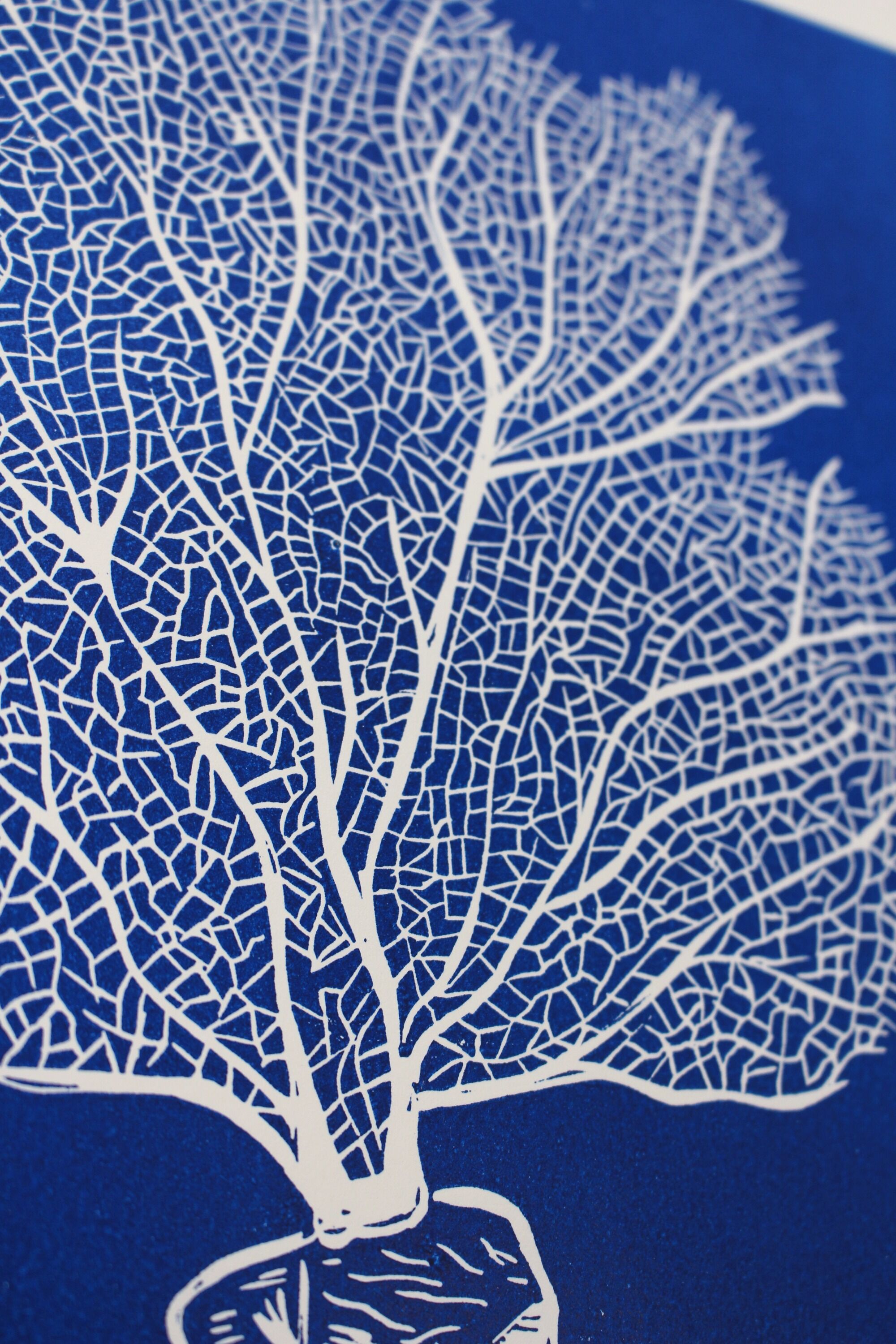 CORAL - DETAILS - LINOCUTURE