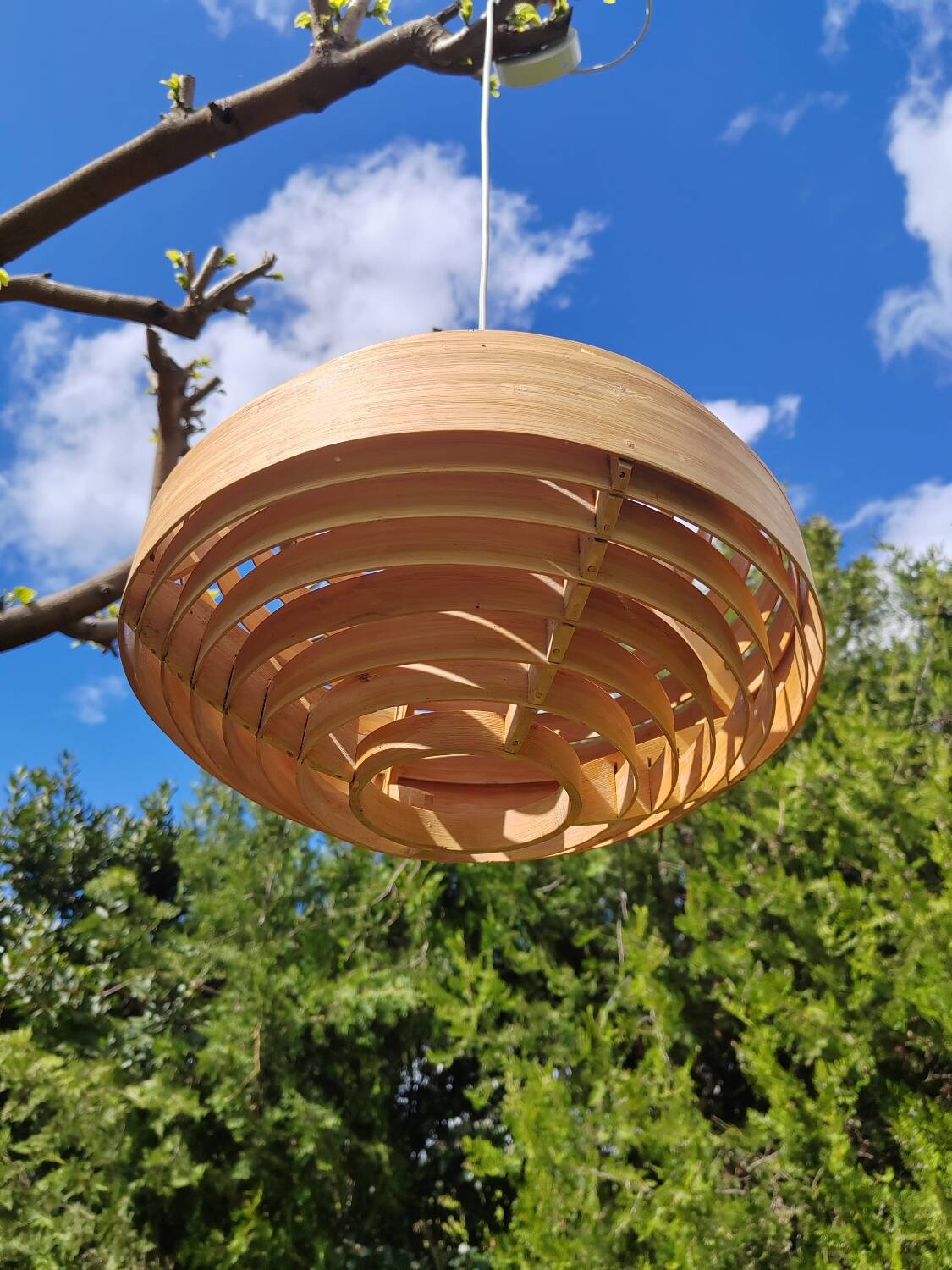 Scandinavian curved wood pendant light