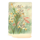 Art Nouveau engraving from 1896 - Marsh Iris and Koi Carp - by Fraipont