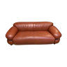 Sesann sofa by Gianfranco Frattini