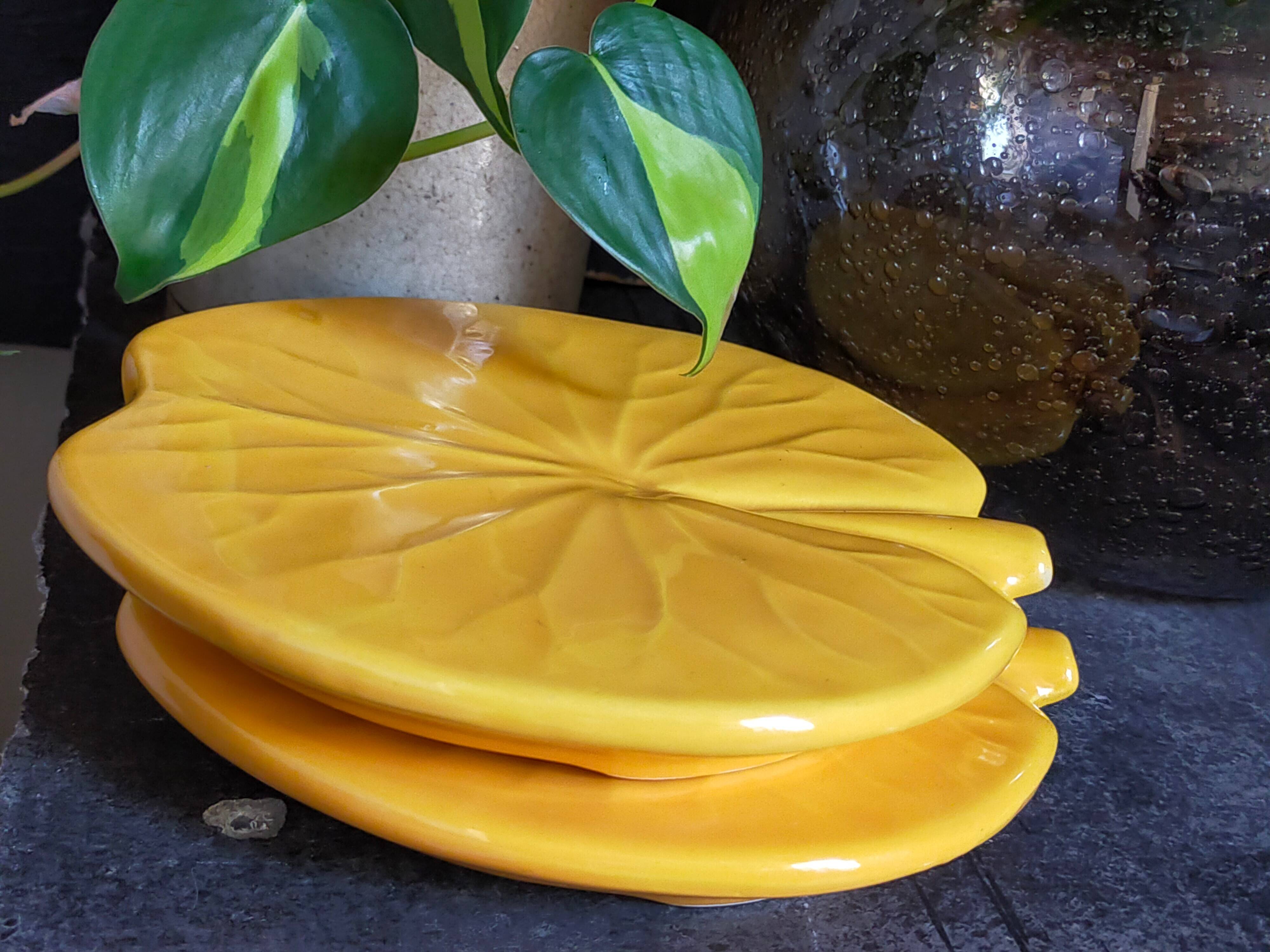 Three vintage water lily presentation dishes in slip