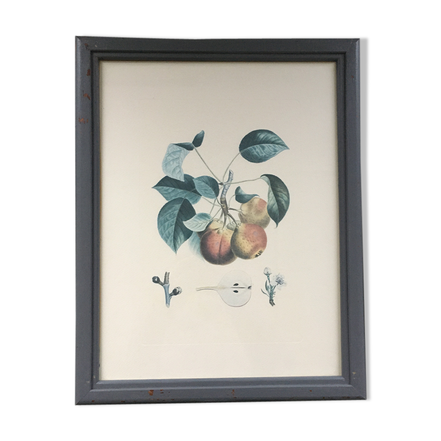 Botanical peach board