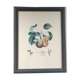 Botanical peach board