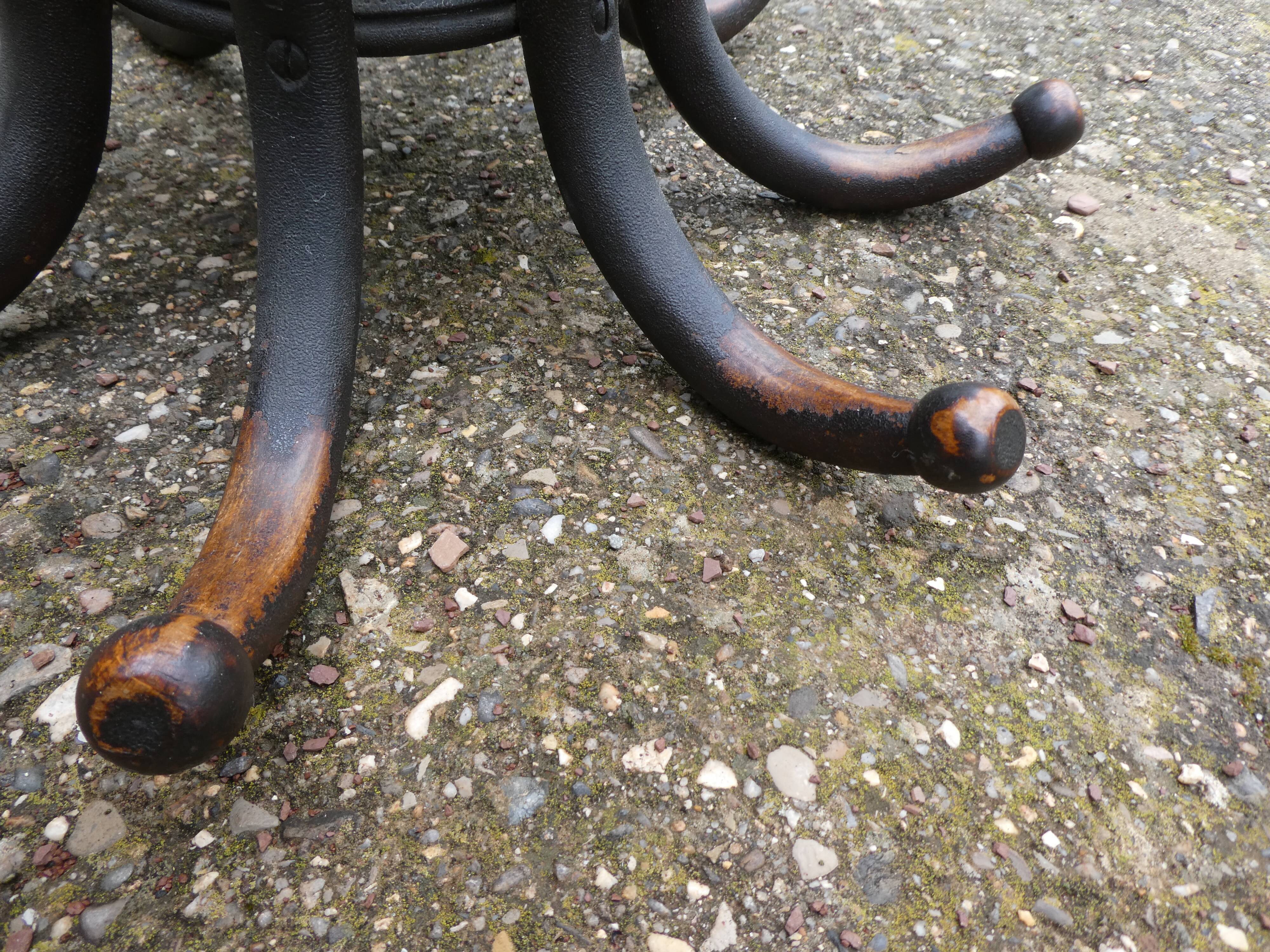Parrot coat holder in curved wood - Art Nouveau