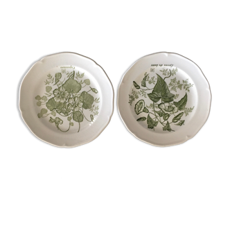 Set of 2 Glen plates with botanical decor